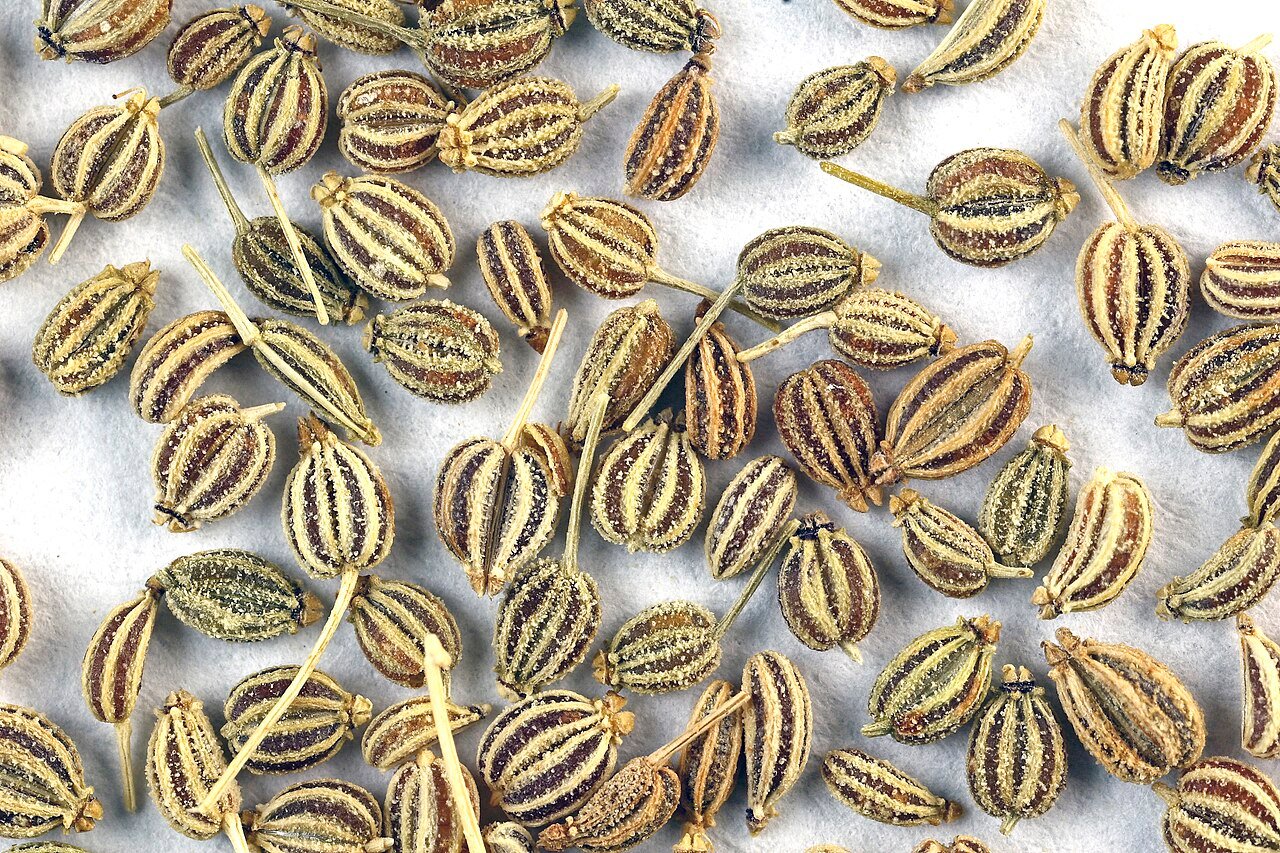Ajwain (Carom Seeds)