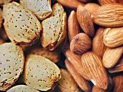 Almonds (Badam)