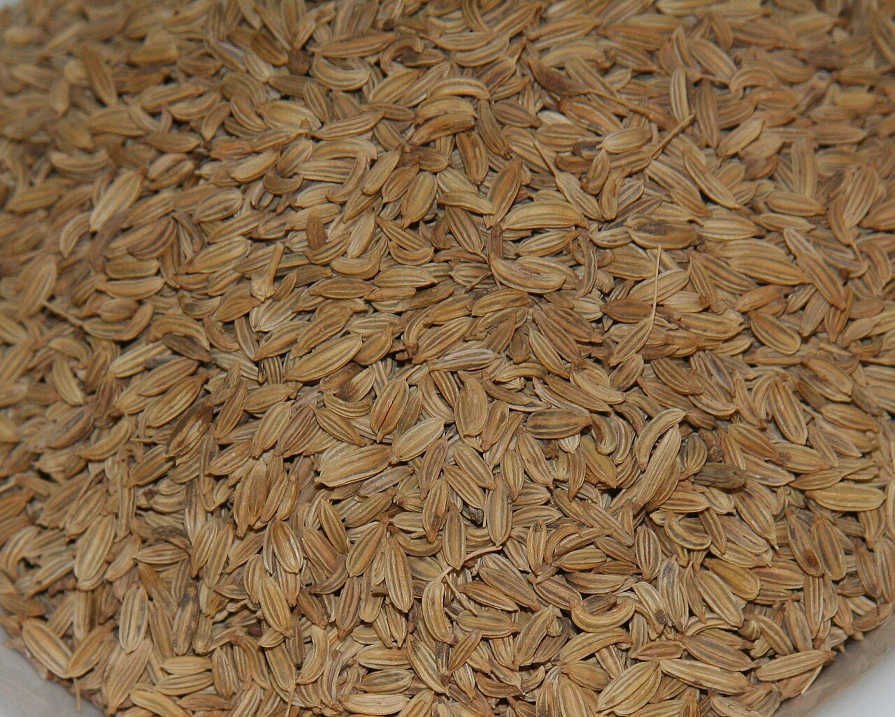 Fennel Seeds (Saunf)