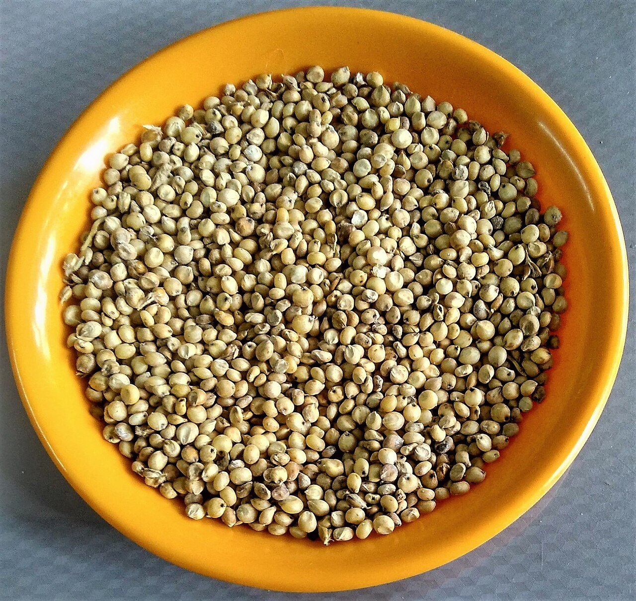 Jowar (Sorghum)