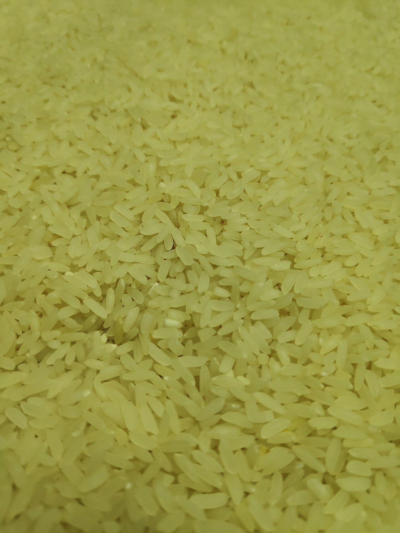 Non-Basmati Rice