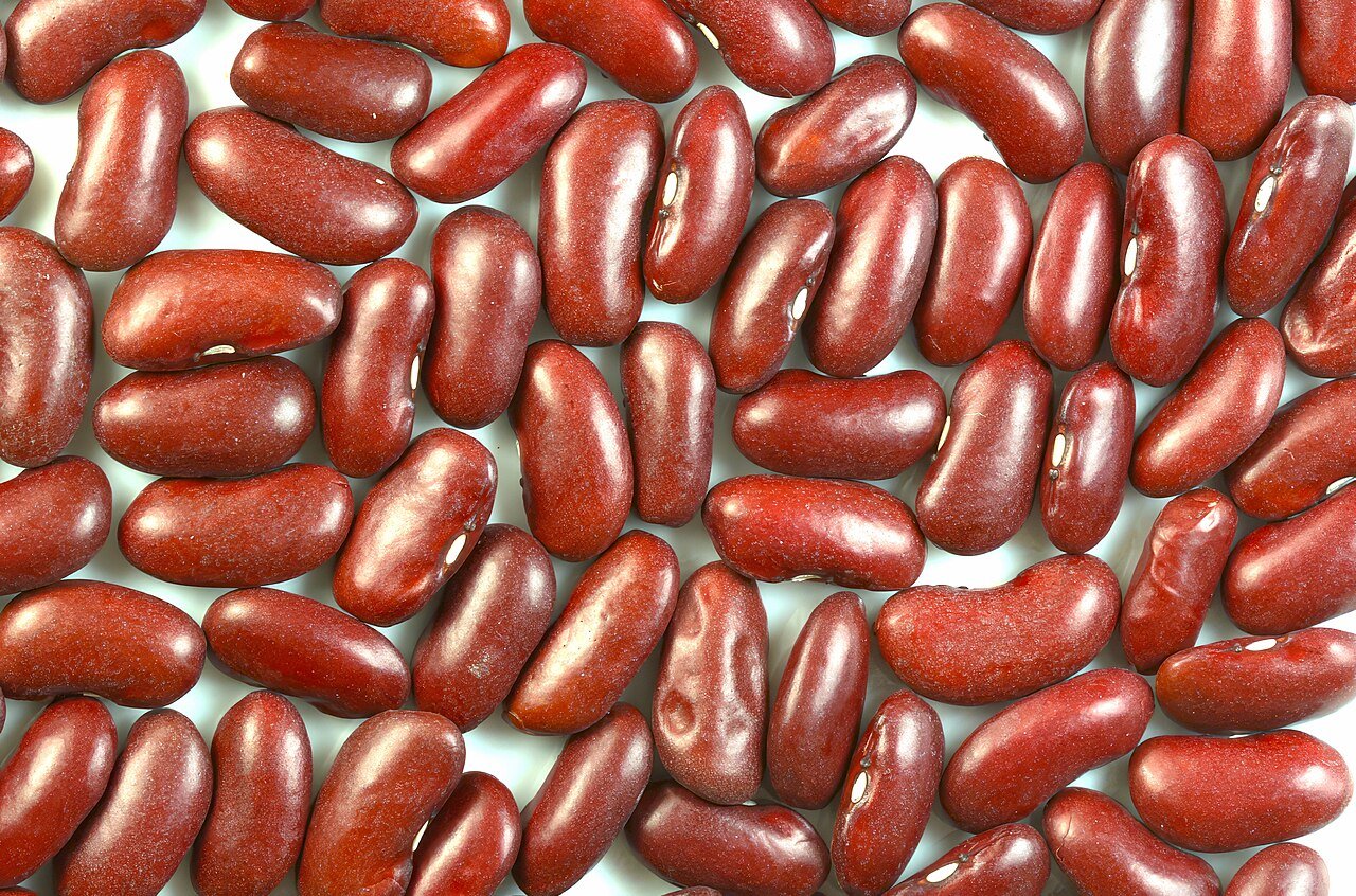 Rajma (Kidney Beans)